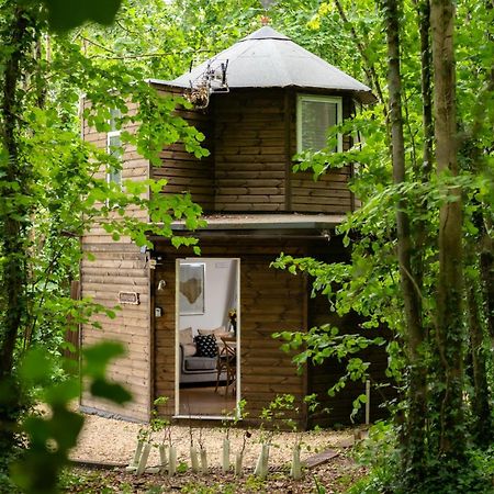 فيلا Honeycombe - Treehouse In The Heart Of Dorset بلاندفورد فوروم المظهر الخارجي الصورة