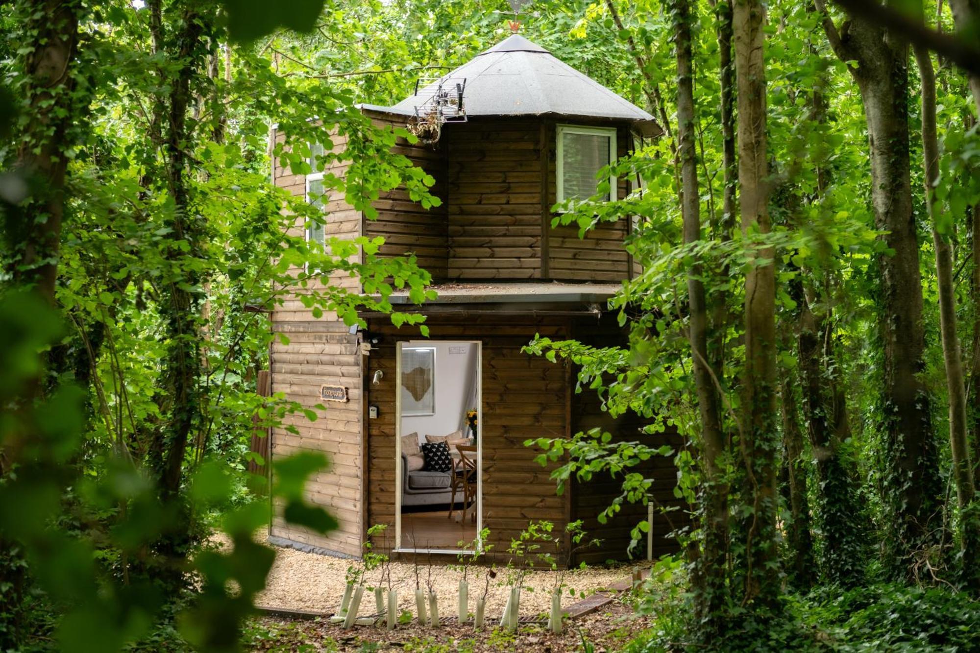 فيلا Honeycombe - Treehouse In The Heart Of Dorset بلاندفورد فوروم المظهر الخارجي الصورة