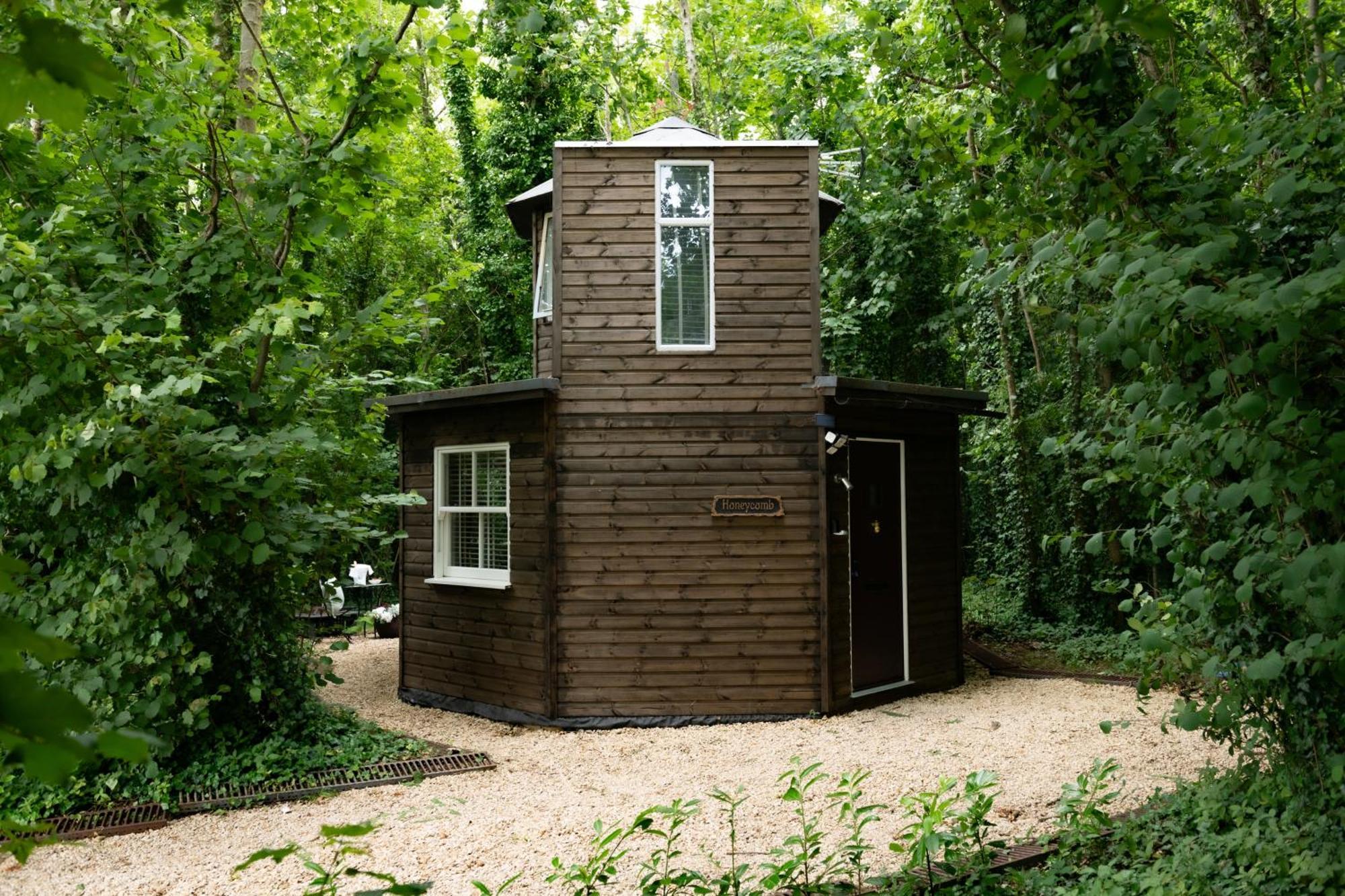 فيلا Honeycombe - Treehouse In The Heart Of Dorset بلاندفورد فوروم المظهر الخارجي الصورة